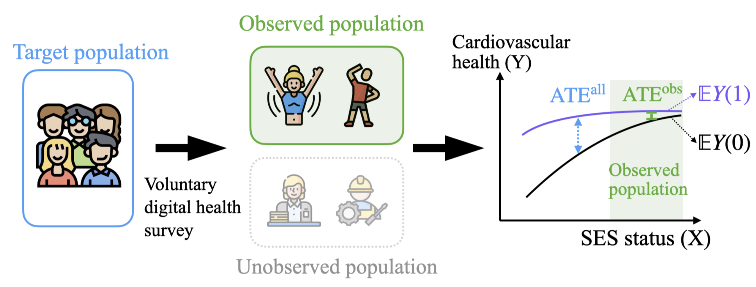 Towards a Holistic Understanding of Selection Bias for Causal Effect Identification